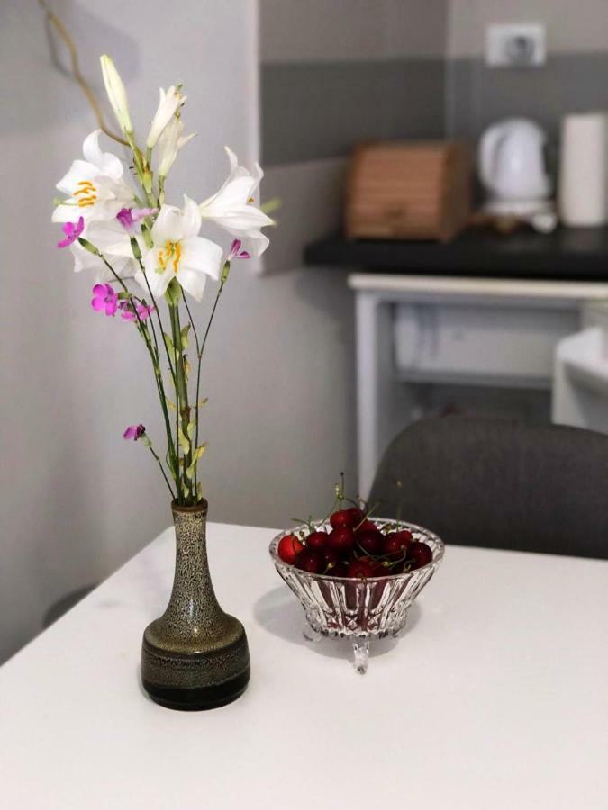 Monte B. Exclusive Apartment Rovinj Eksteriør bilde
