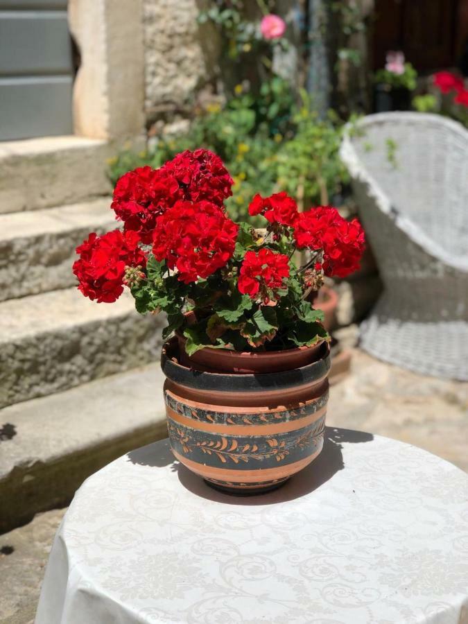 Monte B. Exclusive Apartment Rovinj Eksteriør bilde